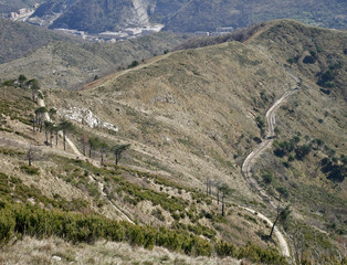 Fototapeta na wymiar Territory behind the city of Genoa with the railroad and trails. 