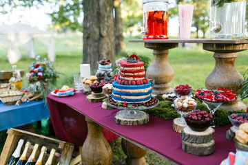 Wedding in the forest. cake with berries, Blueberries and raspberriess on the table. Fourchette, a lot of food on the table