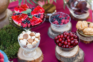Wedding in the forest. cake with berries, Blueberries and raspberriess on the table. Fourchette, a lot of food on the table