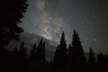 Fototapeta na wymiar Milky Way over fir trees in the rocky mountains