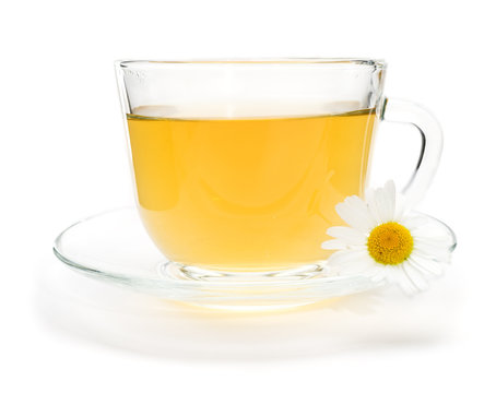 Camomile tea with chamomile flower isolated on white