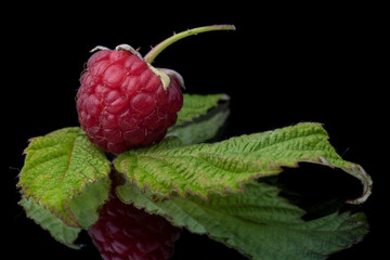 Raspberry with leaves on a black background with reflections