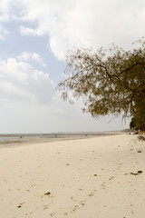 View of the beach and ocean