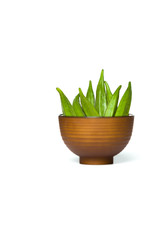 Okra in a bowl isolated over white background