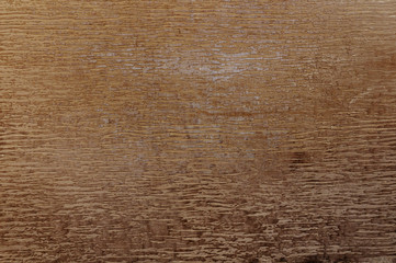 Venetian decorative plaster