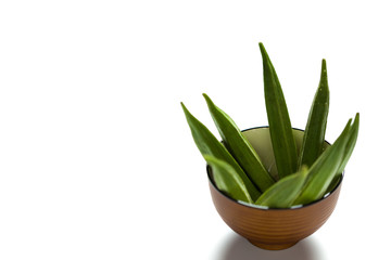 Okra in a bowl isolated over white background