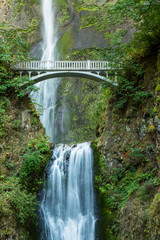 Fototapeta premium Multnomah Falls, Oregon