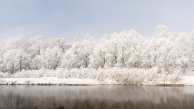 Plain Piedmont, Piedmont,Turin, Italy. Hoar frost trees on the Po river