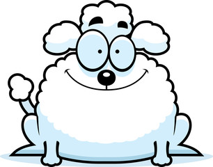 Smiling Little Poodle