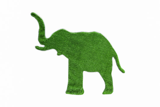 Isolated grass in elephant shape on white background