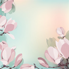 Square spring background. Vector illustration for design with blooming magnolia.  Template for design poster, banner, invitation, voucher. There is room for text.