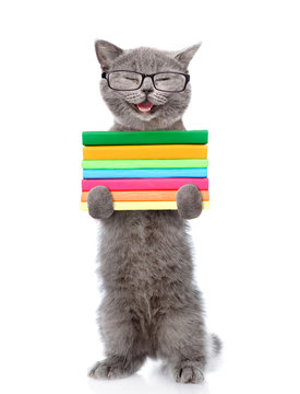 Happy cat in eyeglasses holding a stack of books. isolated on white background