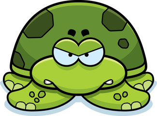 Angry Little Sea Turtle