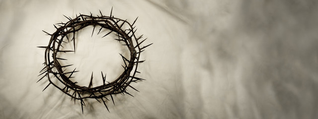 Crown of Thorns – Left (photo of real thorns) - 141761211