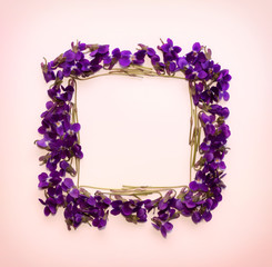 Floral pattern square Frame made of small forest flowers violet with empty space for text on a  on pink background. Flat lay, top view