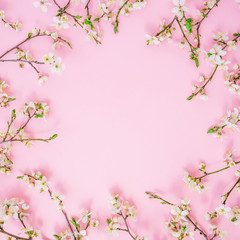 Spring flowers isolated on pink background. Flat lay, top view. Floral background.