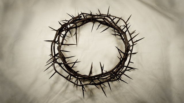 Crown of Thorns – Center (Real Thorns)