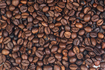 cofee beans on white