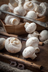 Freshly harvested mushrooms.