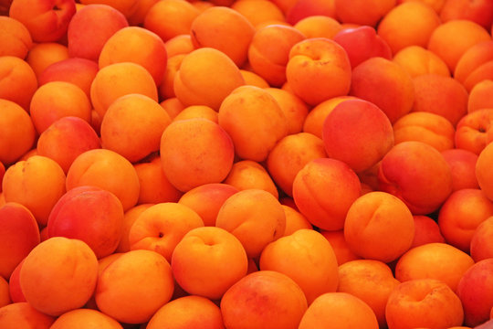 aprikosen