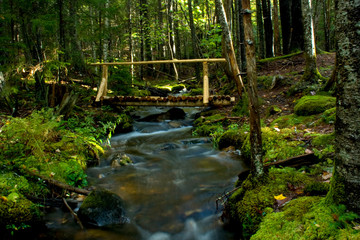 Rustic Wooden Bridge over Stream in Woods