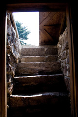 Steps and Entrance to Traditional Root Cellar
