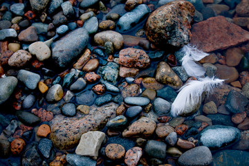 White Feathers with Colorful Beach Stones