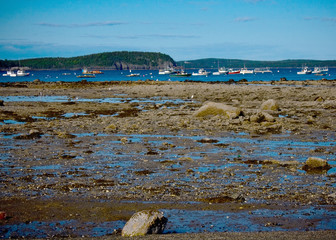 Boats in Bar Harbor Maine at Low Tide
