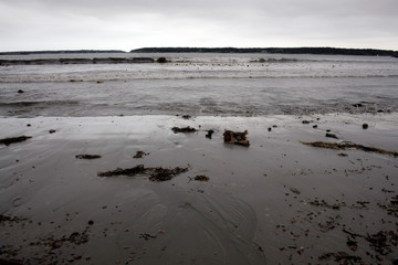 Shoreline on Cold Grey Day in Maine
