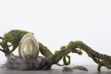 Onyx egg in nest