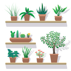 House vector plants in pots flat icons set.