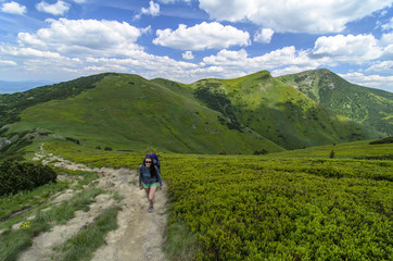 Obraz premium Woman tourist walking to top, Mala Fatra