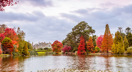 Obraz premium Sheffield Park and Gardens Landscape late in the autumn