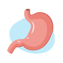 Stomach icon. Human internal organs. Vector illustration.