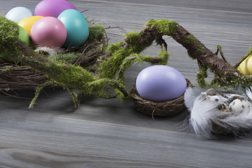 Easter eggs with moss brunch