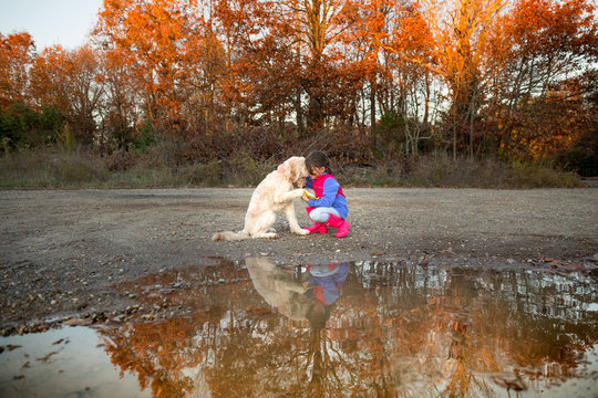 Girl crouching, holding dog's paw