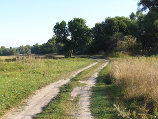 Fototapeta na wymiar Country road among summer field and trees