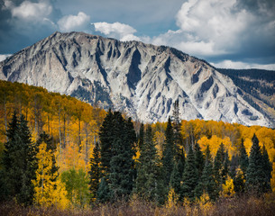 Autumn Color in Beautiful Colorado