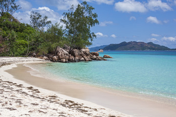 Wild sandy beach with dry seaweed at low tide boarded with granitic boulders, Seychelles © Arkadii Shandarov