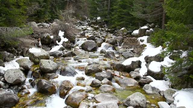  fast mountain stream among the stones  spring a thaw in the forest