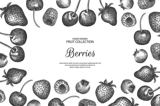 Decorative background with berries. Can be label and banner for natural or organic fruit product and health care goods. 