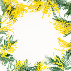 Round frame. Floral pattern of mimosa on white background. Flat lay, top view.