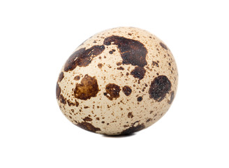 Obraz premium Spotted raw quail egg isolated on white background