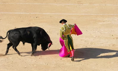 Printed kitchen splashbacks Bullfighting corrida 1