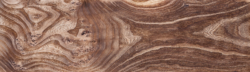 Treated wood background, striped wood texture, freshly-colored elm, paint brown stain