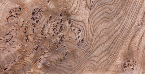Fototapeta premium Treated wood background, striped wood texture, freshly-colored elm, paint brown stain