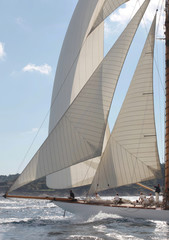 Fototapeta premium Les Voiles de St Tropez