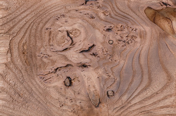 Treated wood background, striped wood texture, freshly-colored elm, paint brown stain