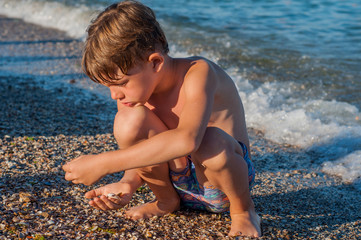 The boy collects seashells on the seashore