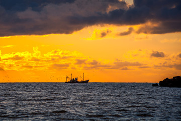 Obraz premium seiner on a Black Sea, beautiful sunset, Poti, Georgia